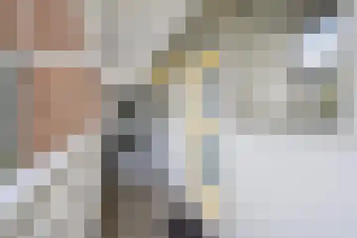 Belvédèrebos 6 Zoetermeer thumbnail 10