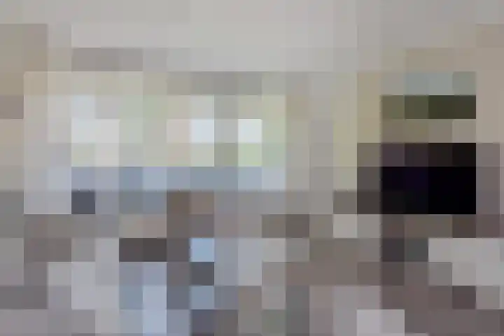 Belvédèrebos 6 Zoetermeer thumbnail 13