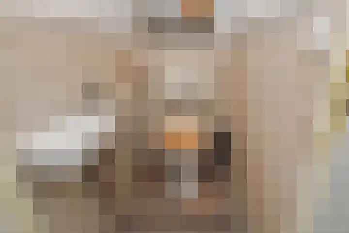 Belvédèrebos 6 Zoetermeer thumbnail 23