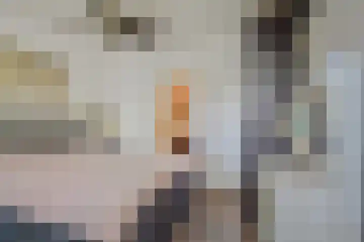 Belvédèrebos 6 Zoetermeer thumbnail 29