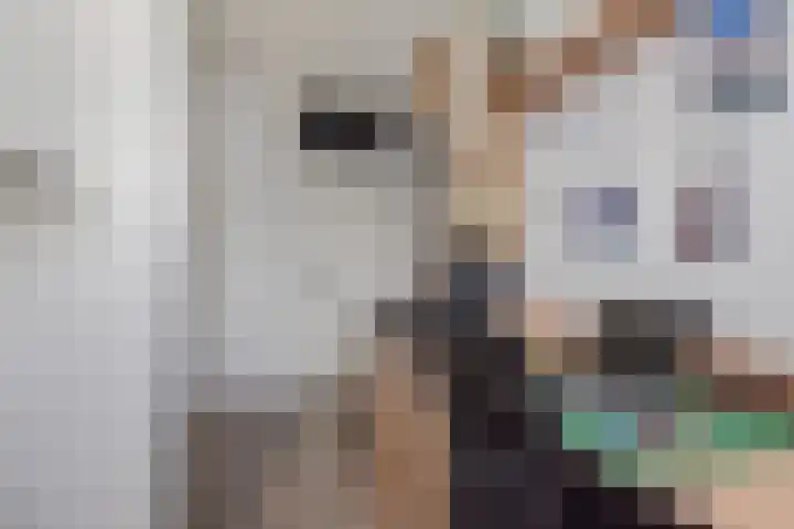 Belvédèrebos 6 Zoetermeer thumbnail 36
