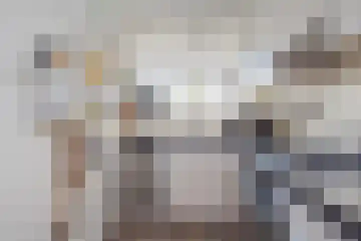 Belvédèrebos 6 Zoetermeer thumbnail 4