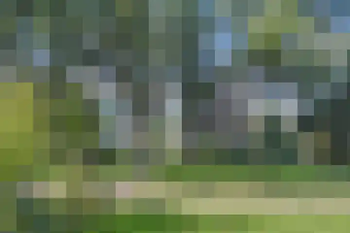 Belvédèrebos 6 Zoetermeer thumbnail 42