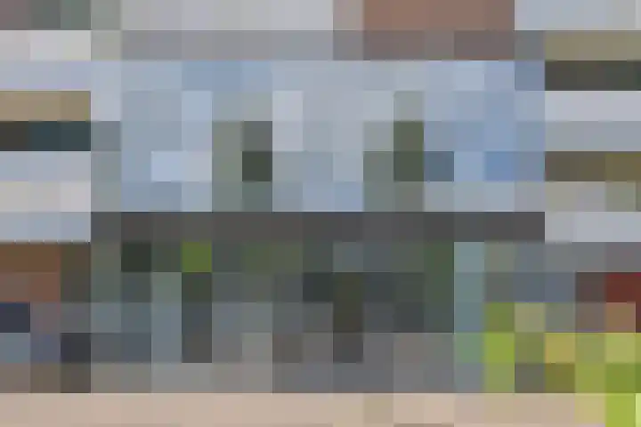 Belvédèrebos 6 Zoetermeer thumbnail 6