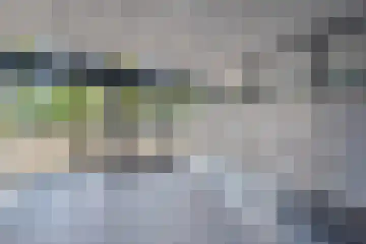 Belvédèrebos 6 Zoetermeer thumbnail 7
