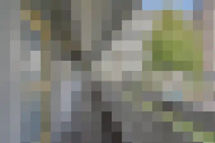 Belvédèrebos 6 Zoetermeer thumbnail 9