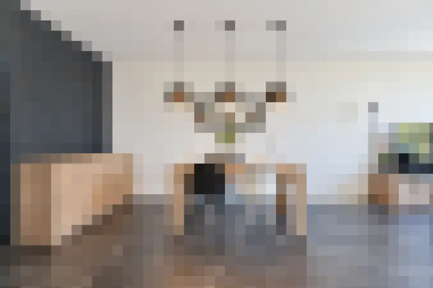 Belvédèrebos 68 Zoetermeer thumbnail 11