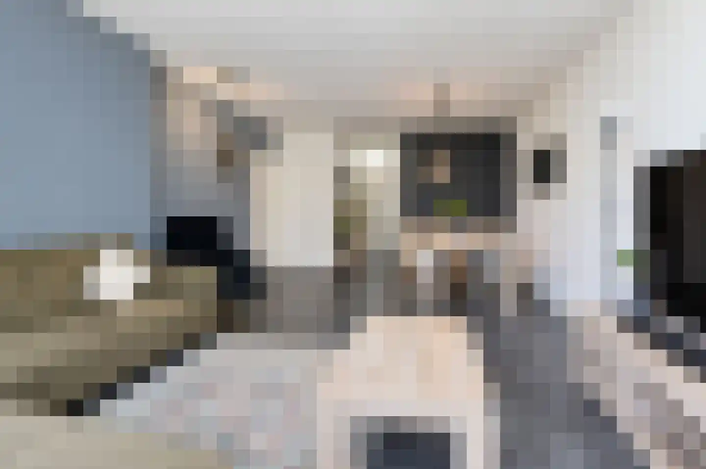 Belvédèrebos 68 Zoetermeer thumbnail 14