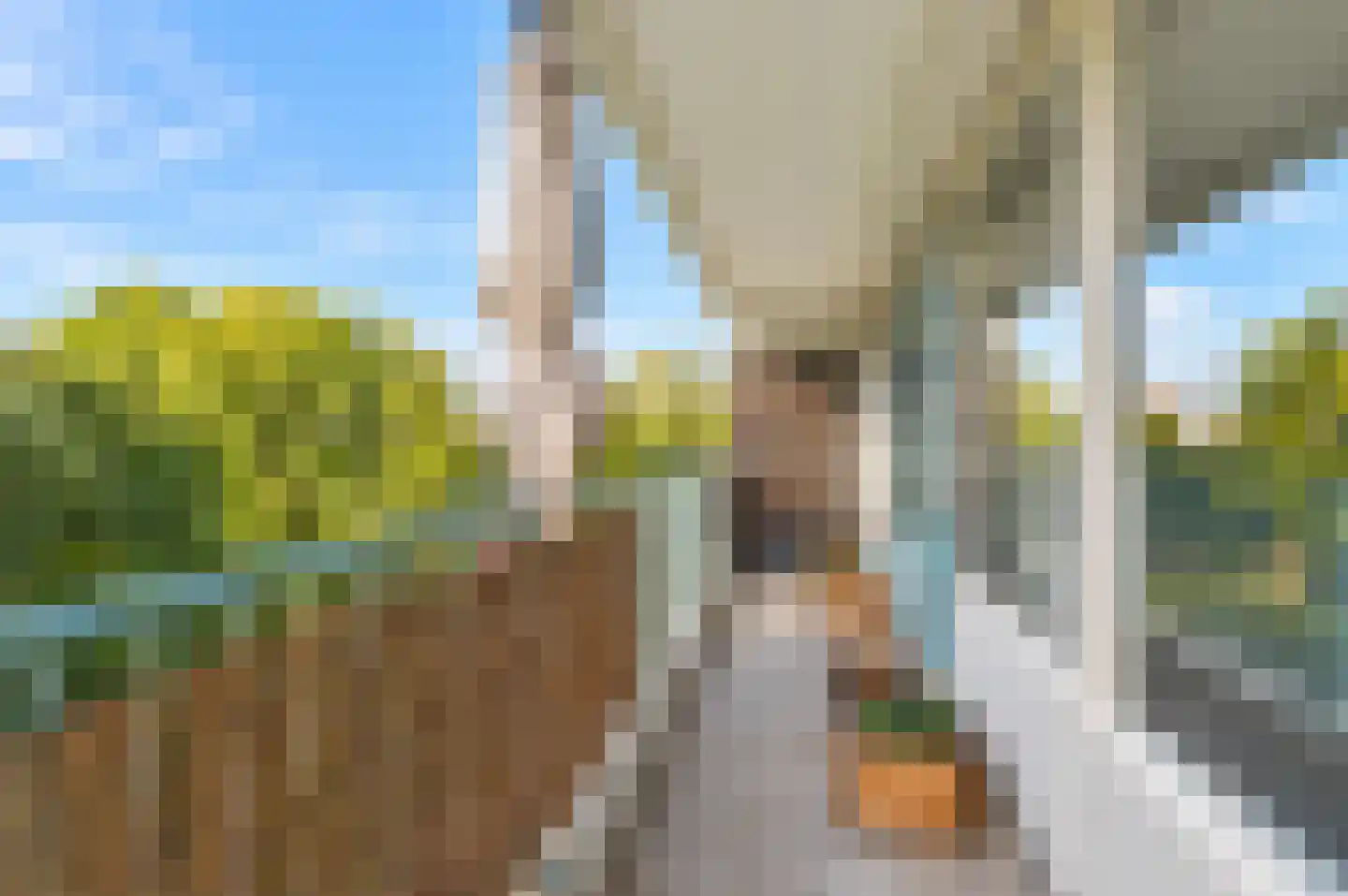 Belvédèrebos 68 Zoetermeer thumbnail 26