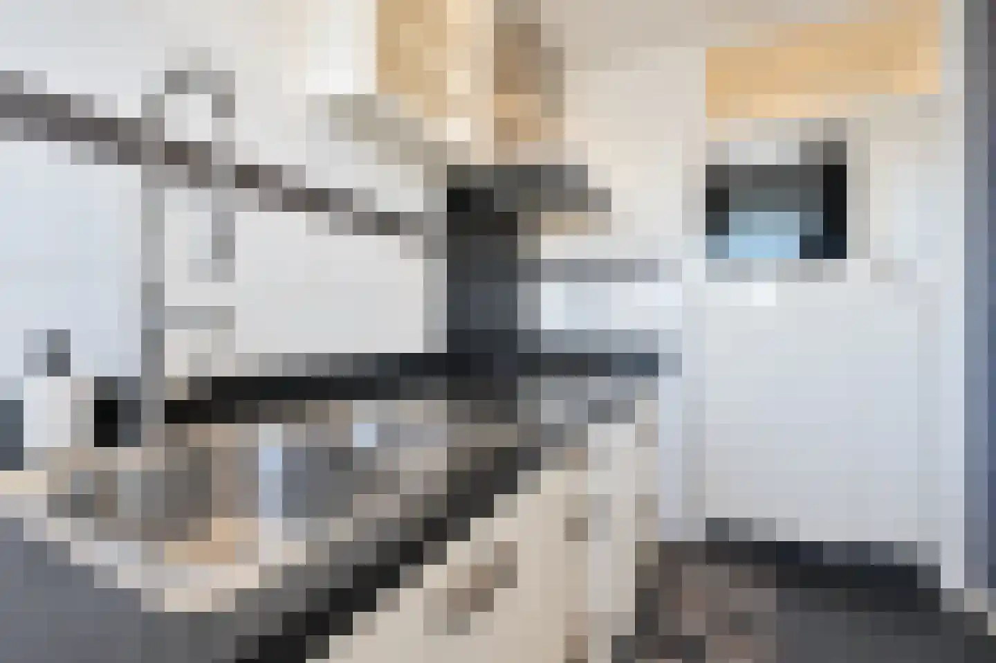 Belvédèrebos 68 Zoetermeer thumbnail 4