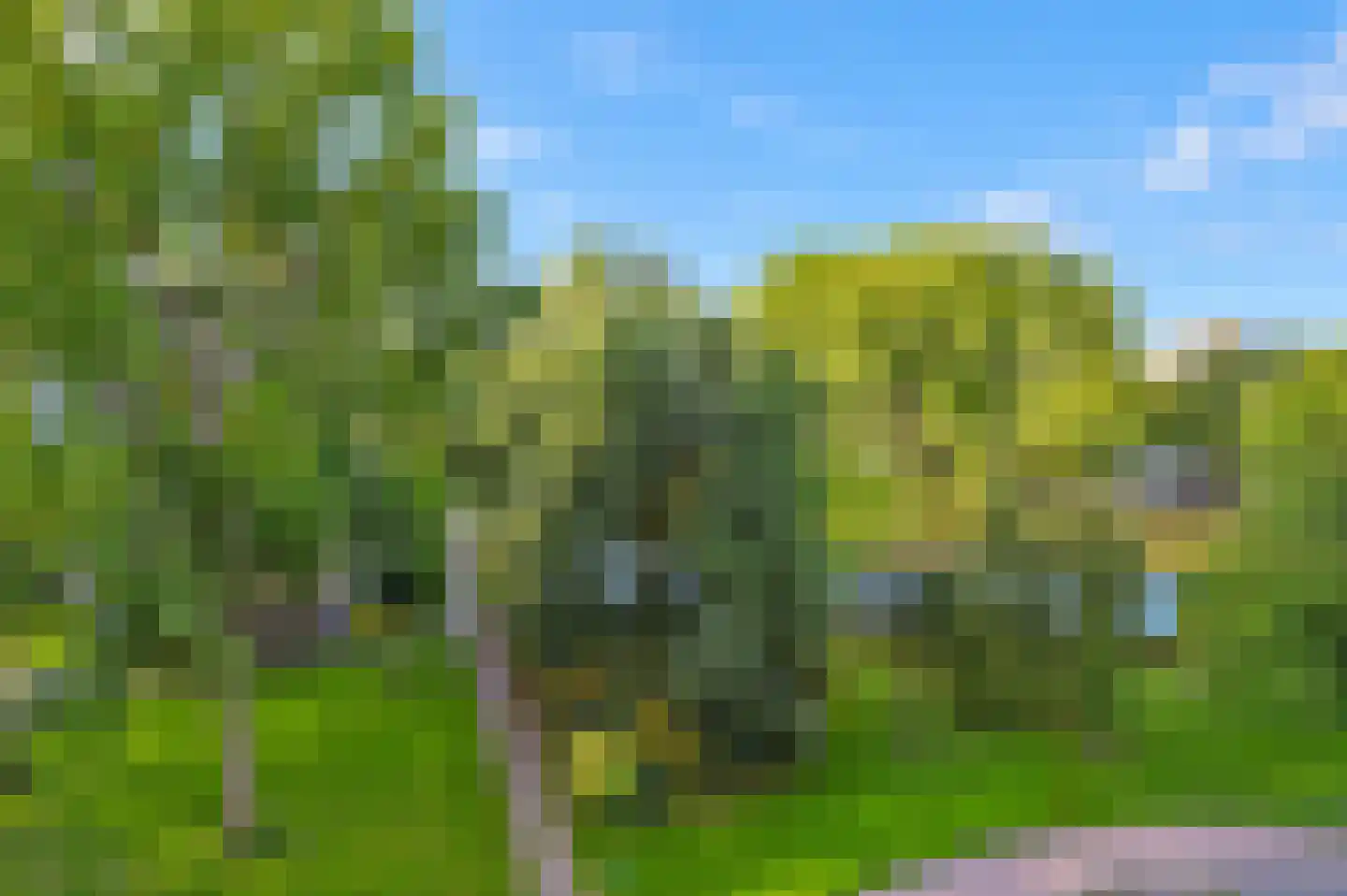 Belvédèrebos 68 Zoetermeer thumbnail 6