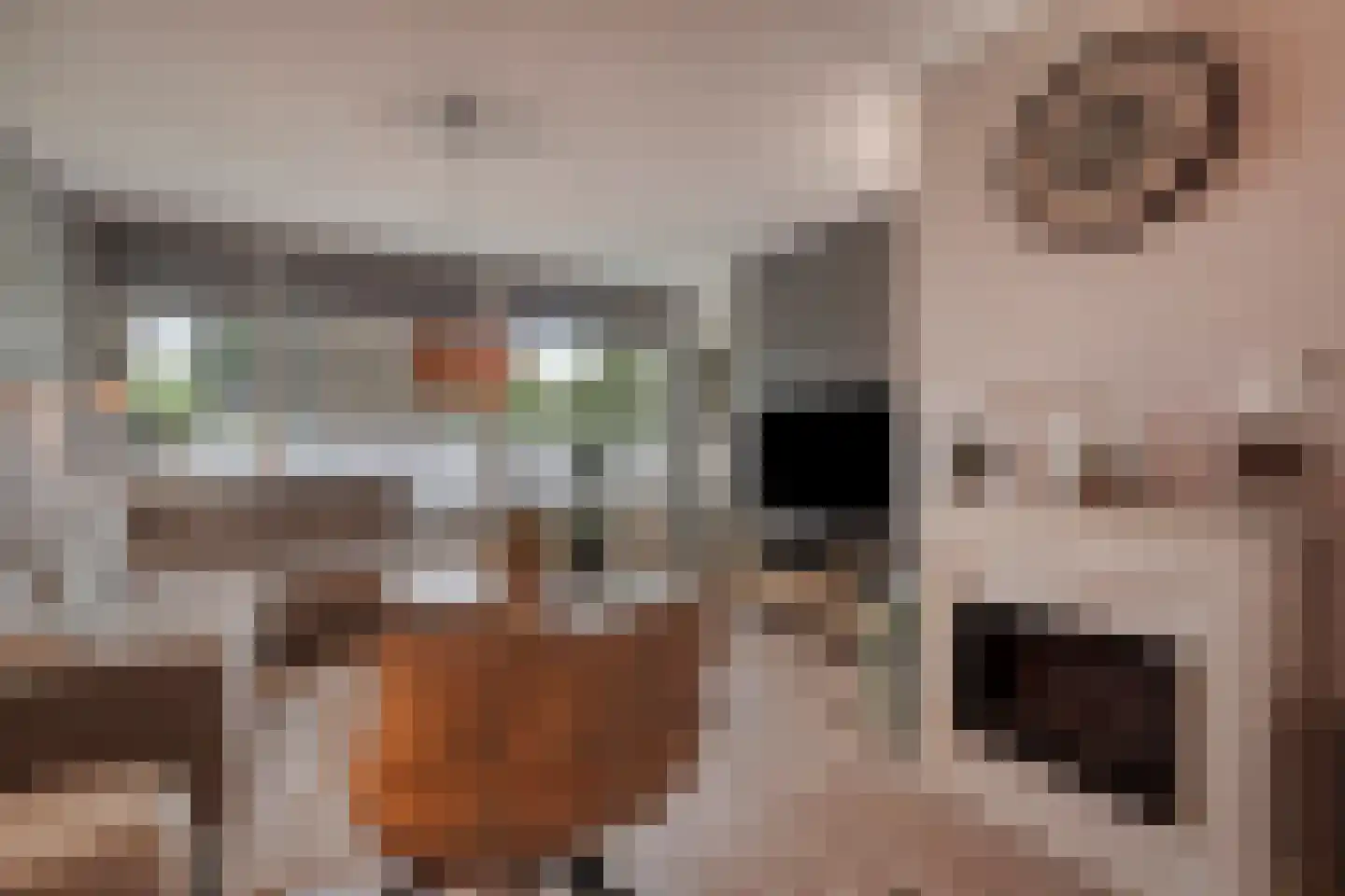 Belvédèrebos 7 Zoetermeer thumbnail 11