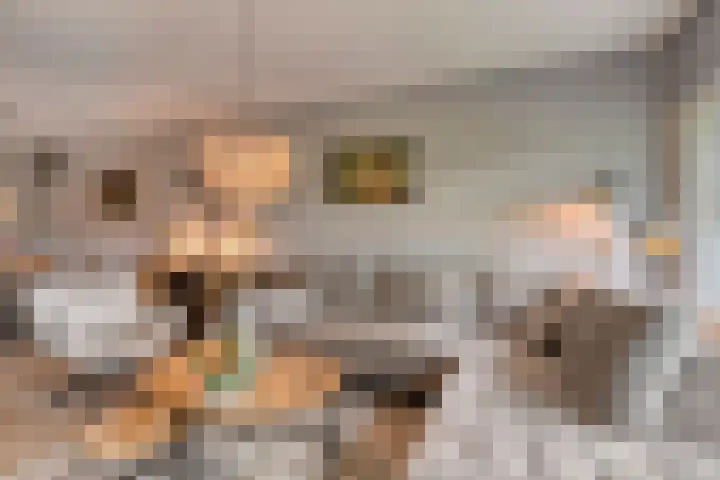 Belvédèrebos 7 Zoetermeer thumbnail 12