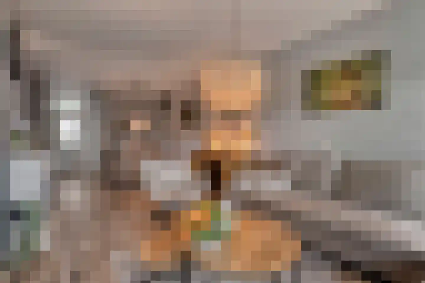 Belvédèrebos 7 Zoetermeer thumbnail 13