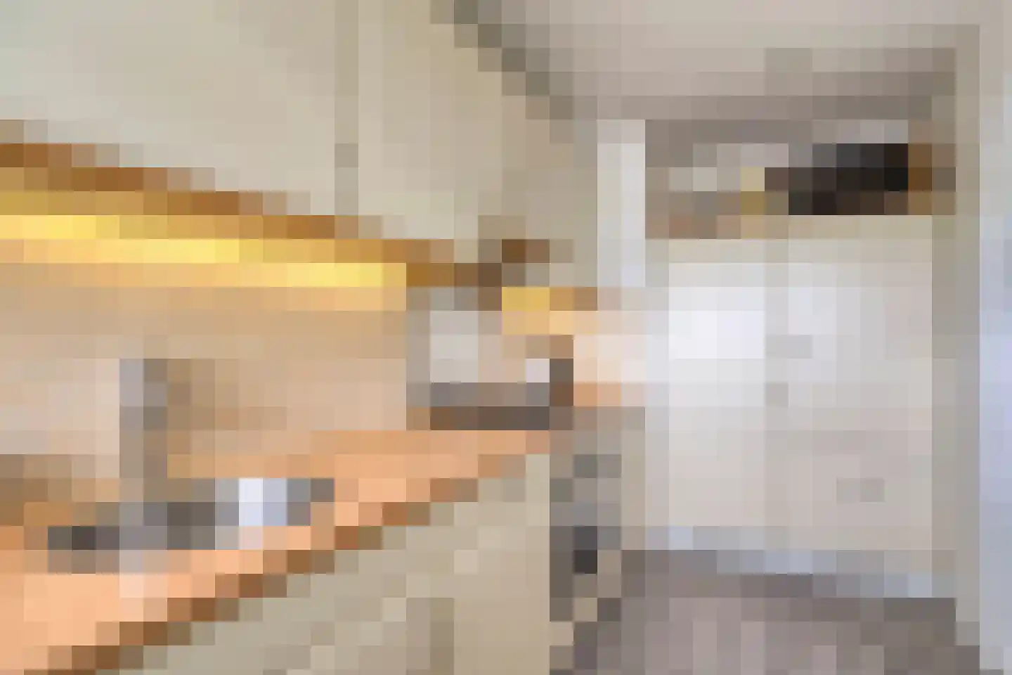Belvédèrebos 7 Zoetermeer thumbnail 15