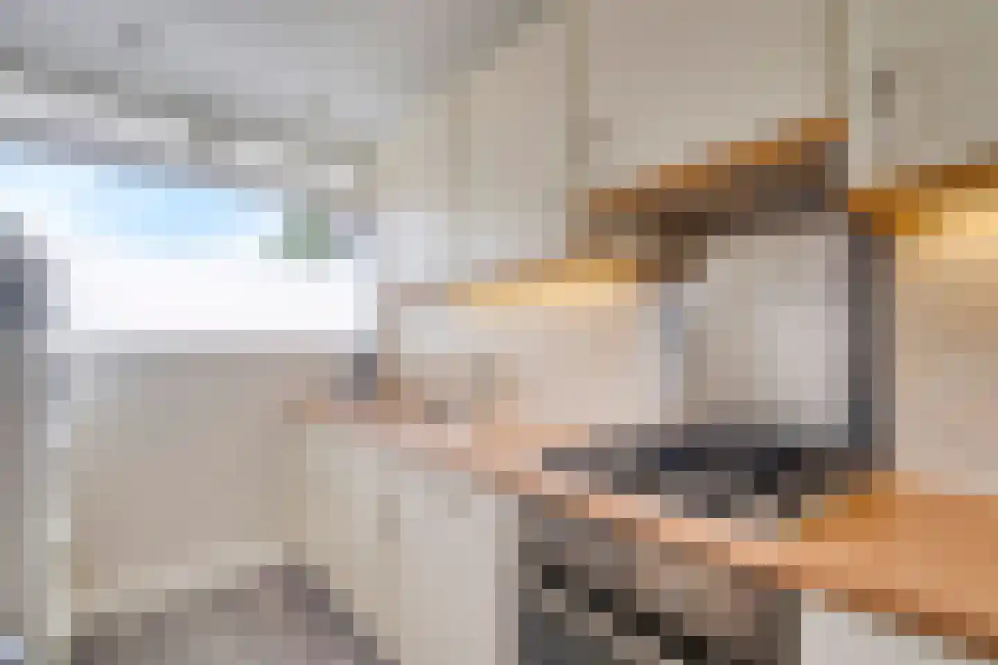 Belvédèrebos 7 Zoetermeer thumbnail 16