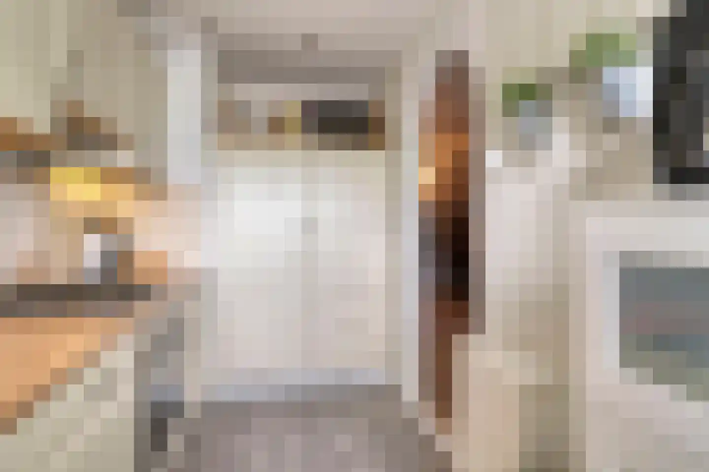 Belvédèrebos 7 Zoetermeer thumbnail 17