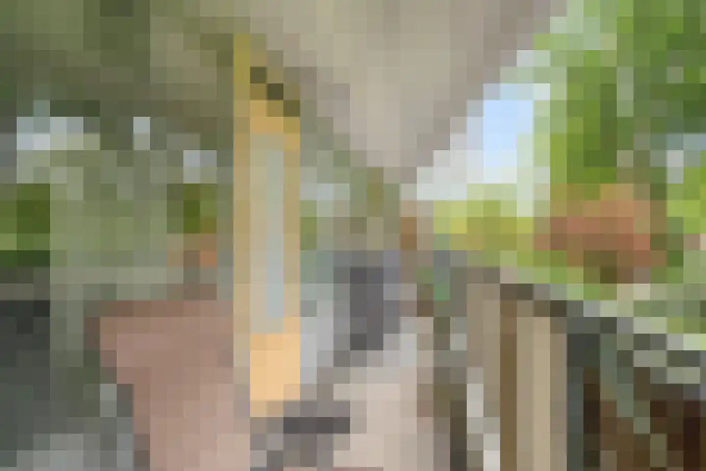 Belvédèrebos 7 Zoetermeer thumbnail 21