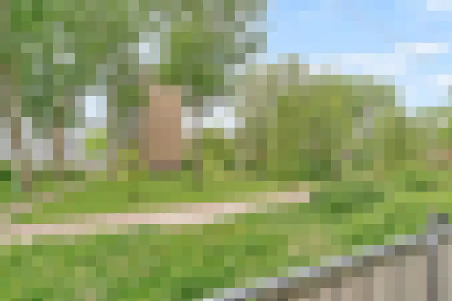 Belvédèrebos 7 Zoetermeer thumbnail 22