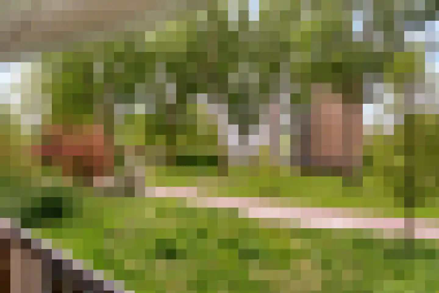 Belvédèrebos 7 Zoetermeer thumbnail 23