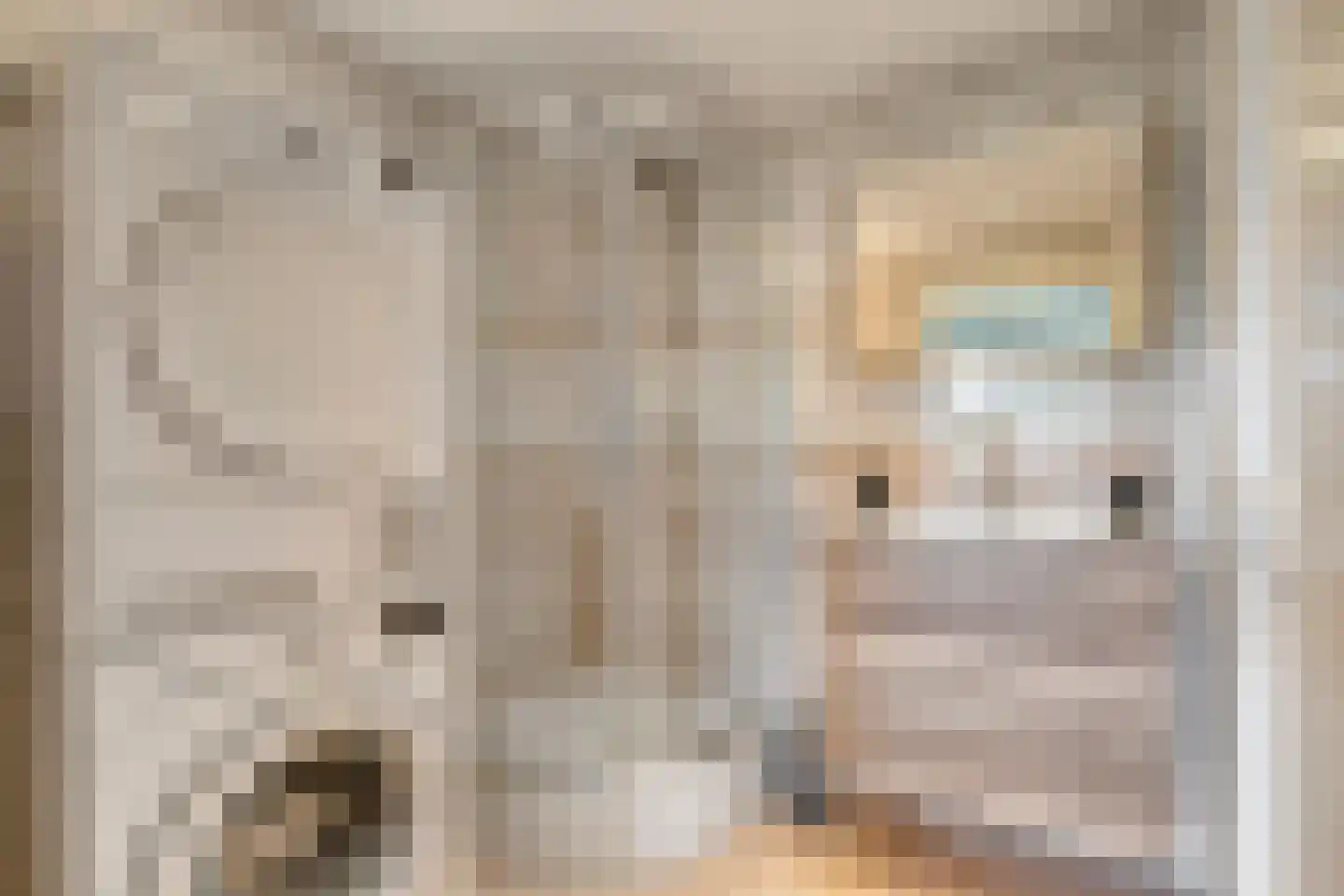Belvédèrebos 7 Zoetermeer thumbnail 25