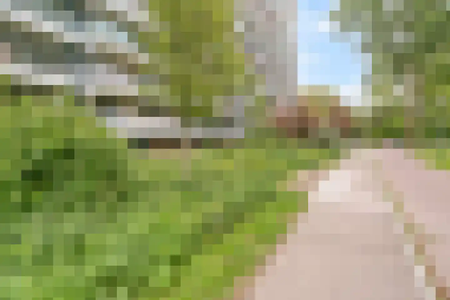 Belvédèrebos 7 Zoetermeer thumbnail 35