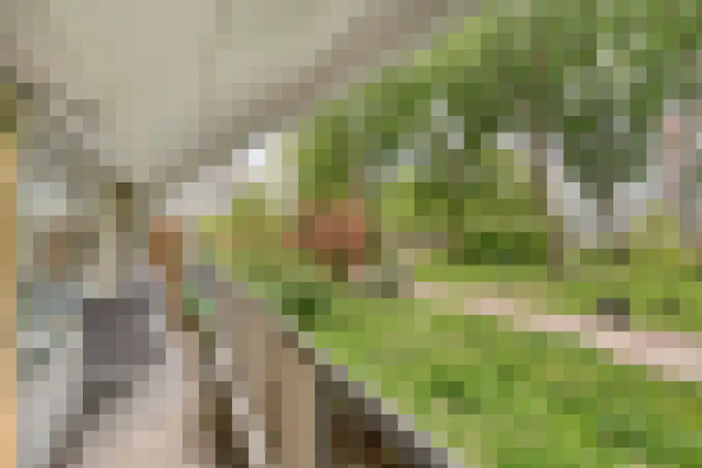 Belvédèrebos 7 Zoetermeer thumbnail 4