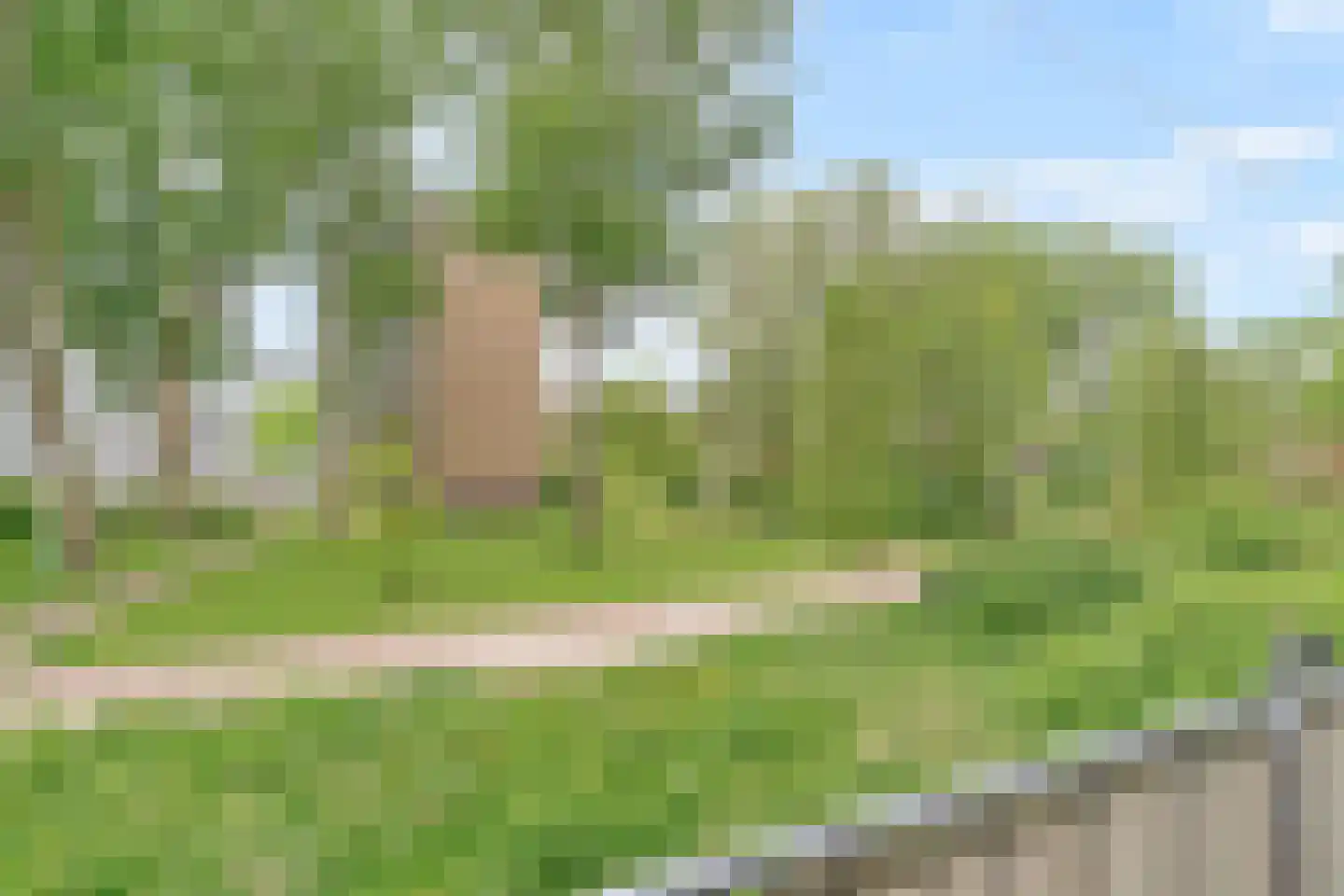 Belvédèrebos 7 Zoetermeer thumbnail 5