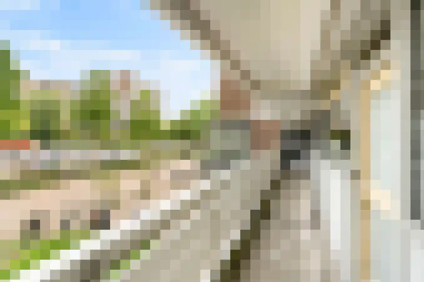 Belvédèrebos 7 Zoetermeer thumbnail 7