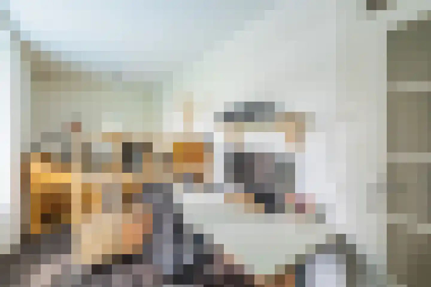 Belvédèrebos 71 Zoetermeer thumbnail 38