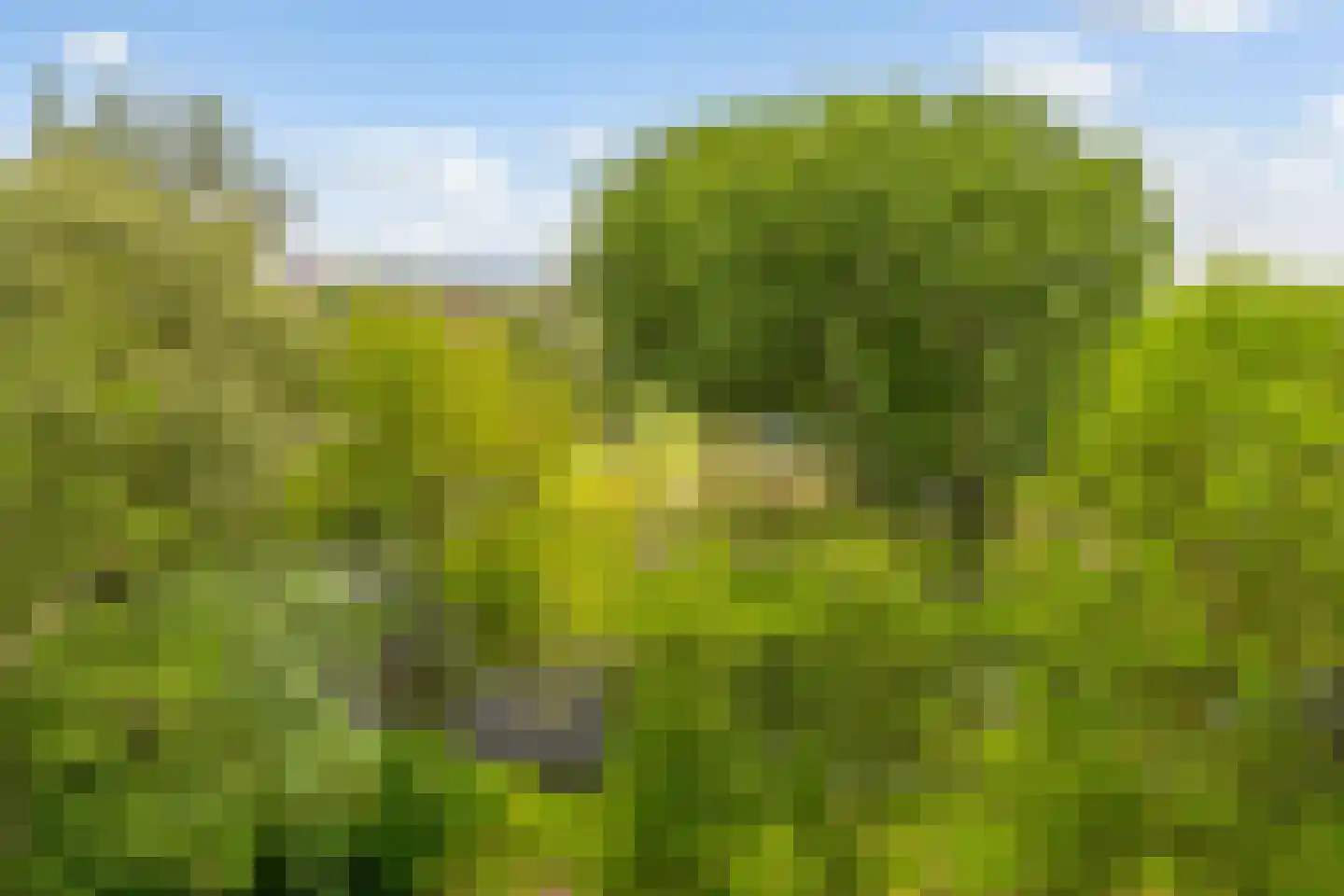 Belvédèrebos 71 Zoetermeer thumbnail 53