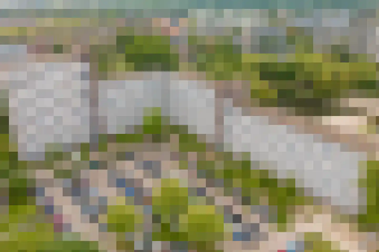 Belvédèrebos 71 Zoetermeer thumbnail 58