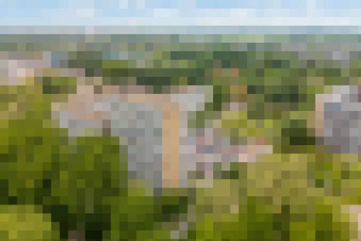 Belvédèrebos 71 Zoetermeer thumbnail 60