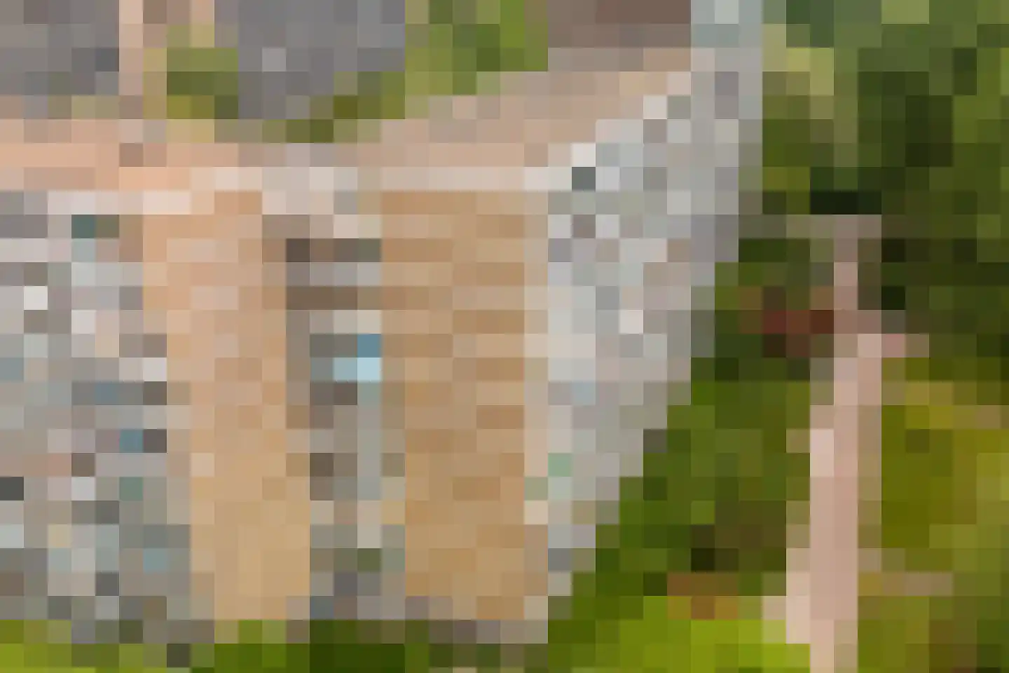 Belvédèrebos 71 Zoetermeer thumbnail 63