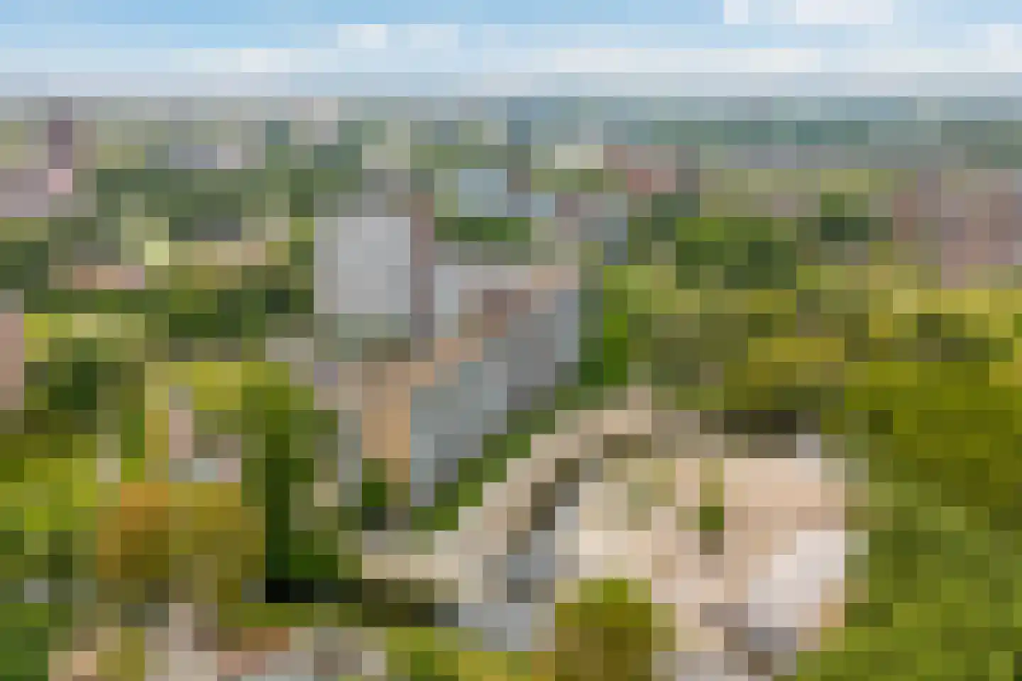 Belvédèrebos 71 Zoetermeer thumbnail 64