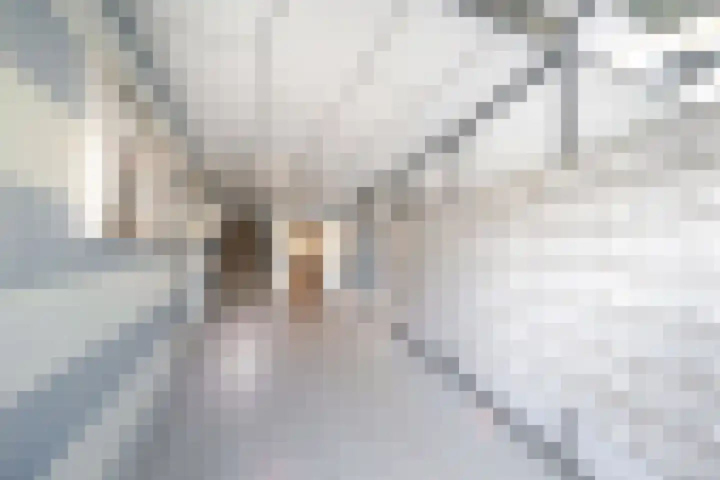 Belvédèrebos 81 Zoetermeer thumbnail 4