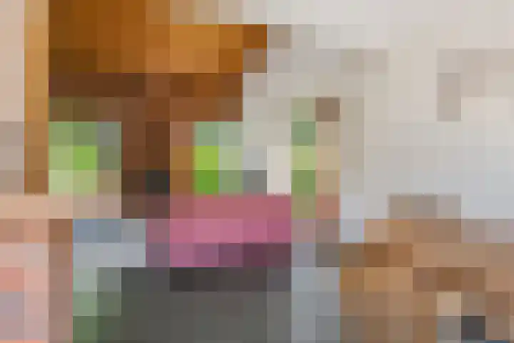Belvédèrelaan 12 Beusichem thumbnail 12