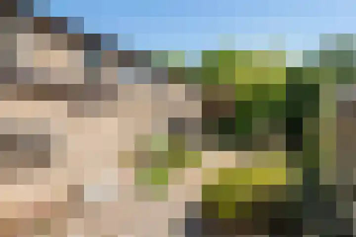 Belvédèrelaan 12 Beusichem thumbnail 30