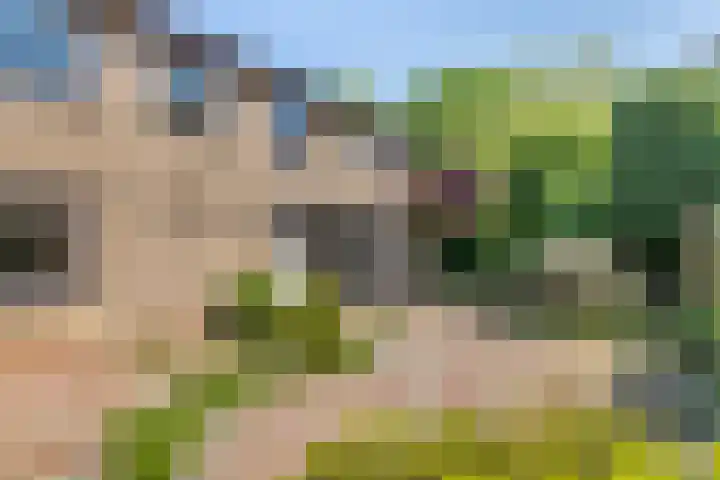Belvédèrelaan 12 Beusichem thumbnail 31