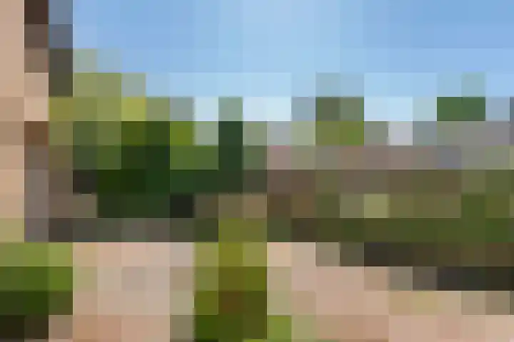 Belvédèrelaan 12 Beusichem thumbnail 32