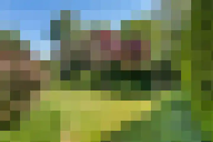 Belvédèrelaan 12 Beusichem thumbnail 33