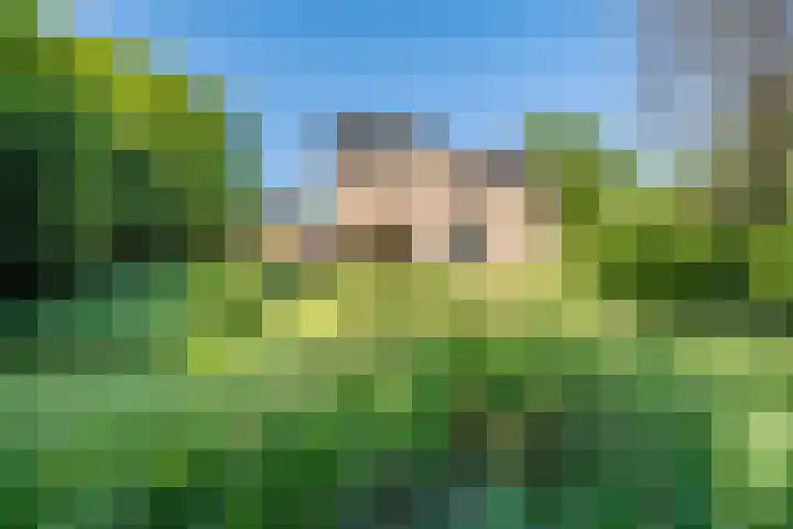 Belvédèrelaan 12 Beusichem thumbnail 34