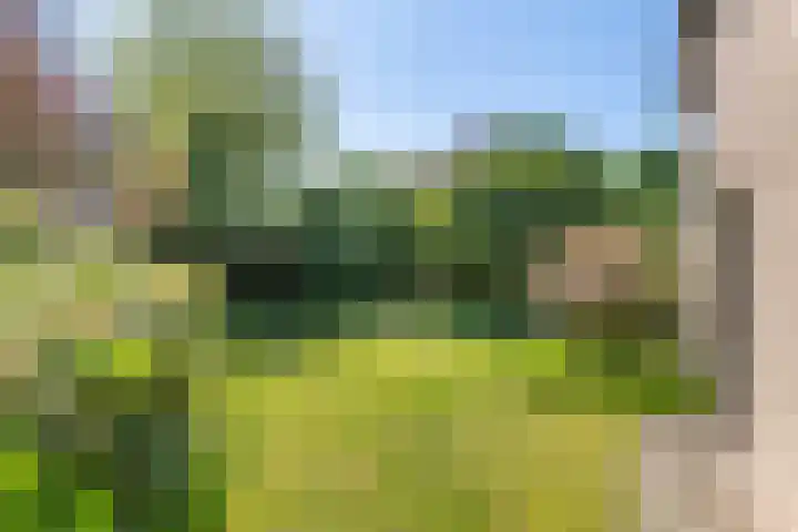 Belvédèrelaan 12 Beusichem thumbnail 35