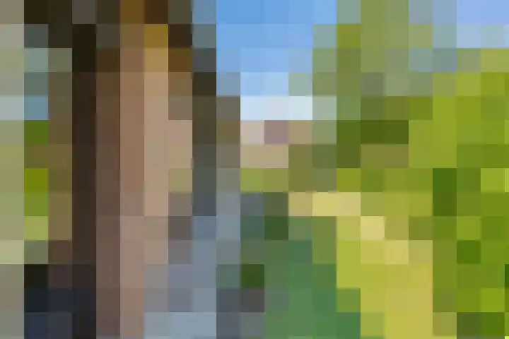 Belvédèrelaan 12 Beusichem thumbnail 36