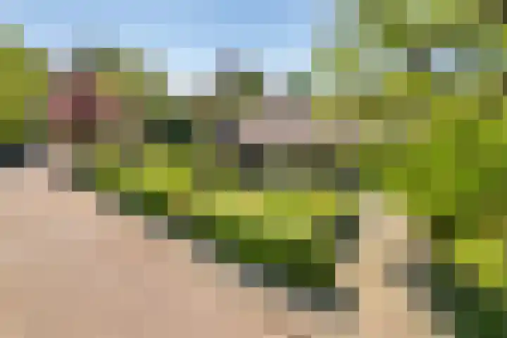 Belvédèrelaan 12 Beusichem thumbnail 7