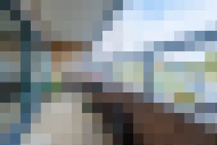 Belvédèrelaan 255 Zwolle thumbnail 18