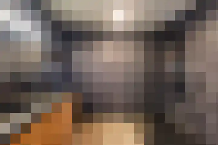 Belvédèrelaan 255 Zwolle thumbnail 27