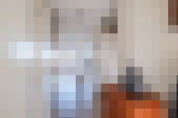 Belvédèrelaan 255 Zwolle thumbnail 30