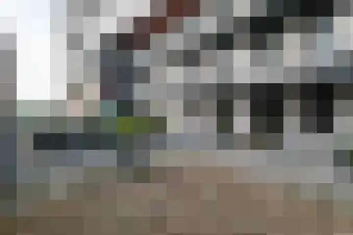 Belvédèrelaan 255 Zwolle thumbnail 33