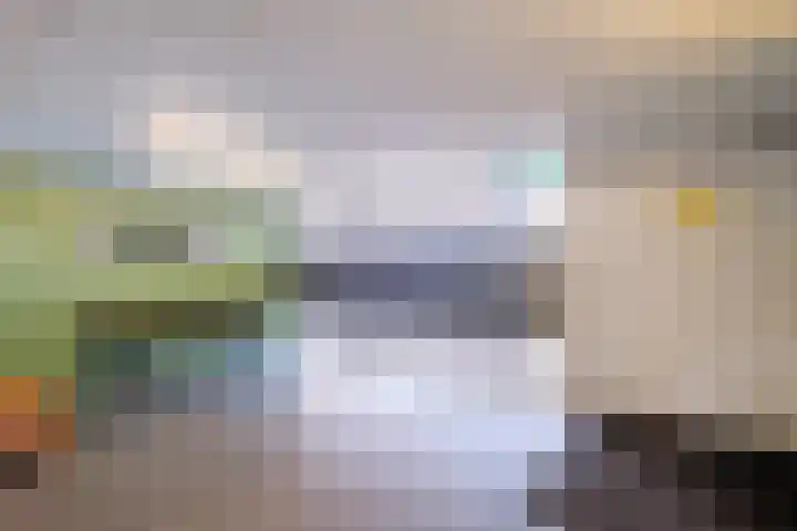 Belvédèrelaan 255 Zwolle thumbnail 38